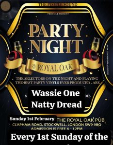 Wassie One Sound System Vinyl Reggae DJ Party Night Royal Oak